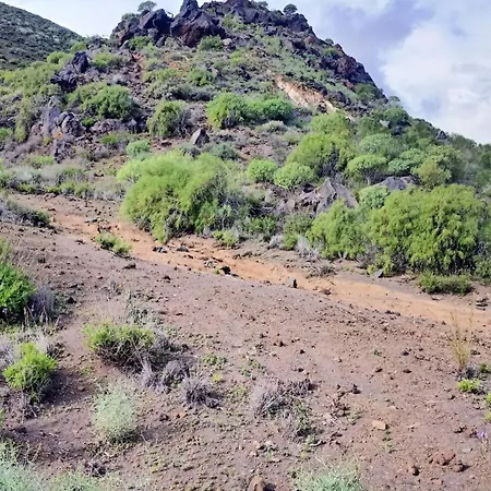 Vv Ave Del Paraiso * La Laguna (Tenerife)