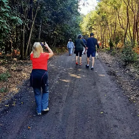 بيت للعطل Vv Ave Del Paraiso