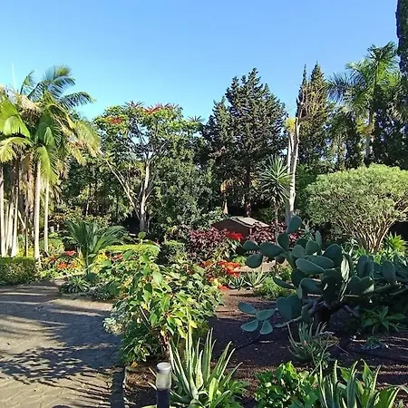 بيت للعطل Vv Ave Del Paraiso
